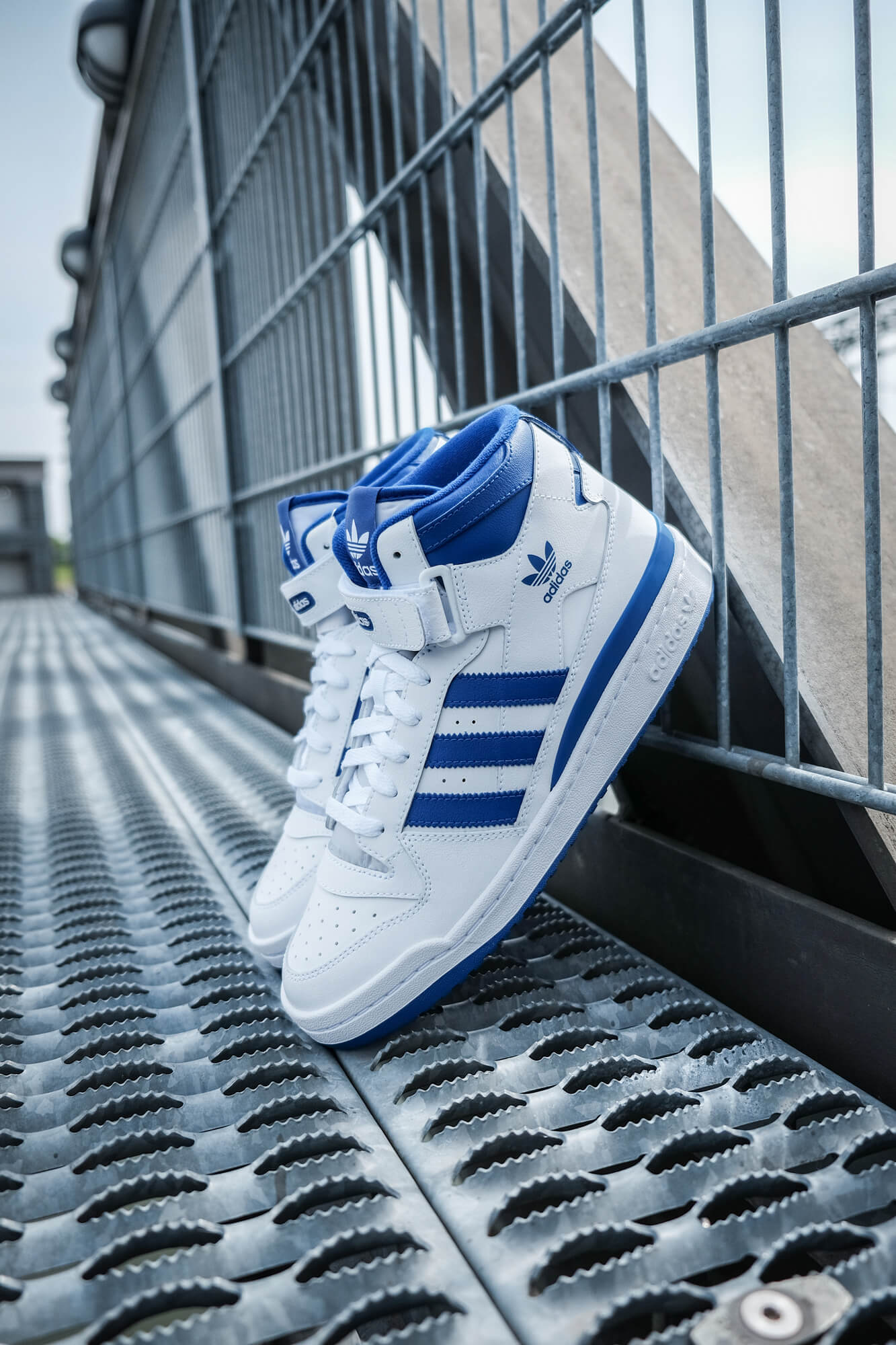 adidas Forum OG Cloud White/Royal Blue in der Mid-Cut Version