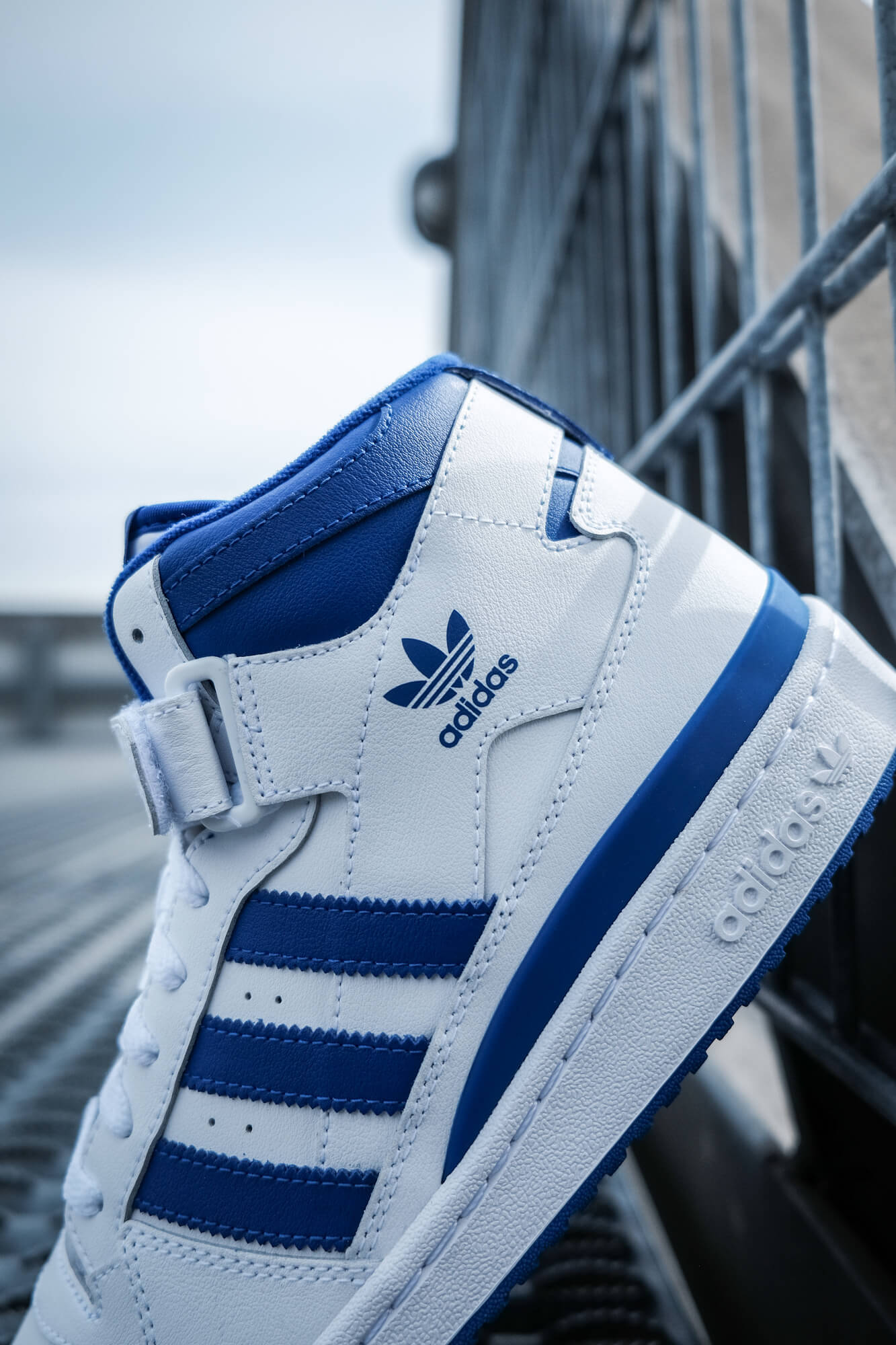 close up adidas Forum Mid - cloud white/royal blue/cloud white - FY4976