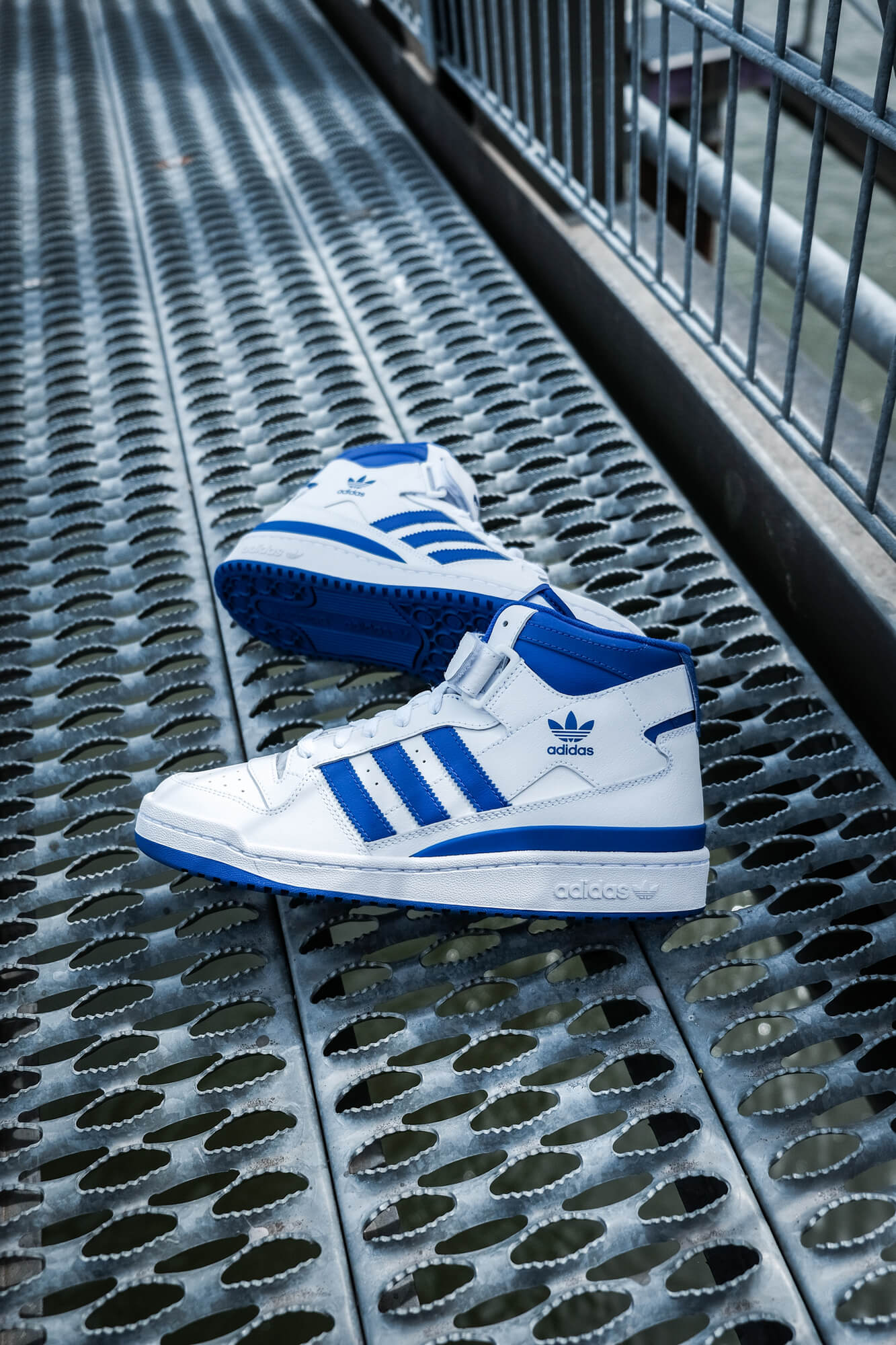 adidas Forum Mid - cloud white/royal blue/cloud white - FY4976