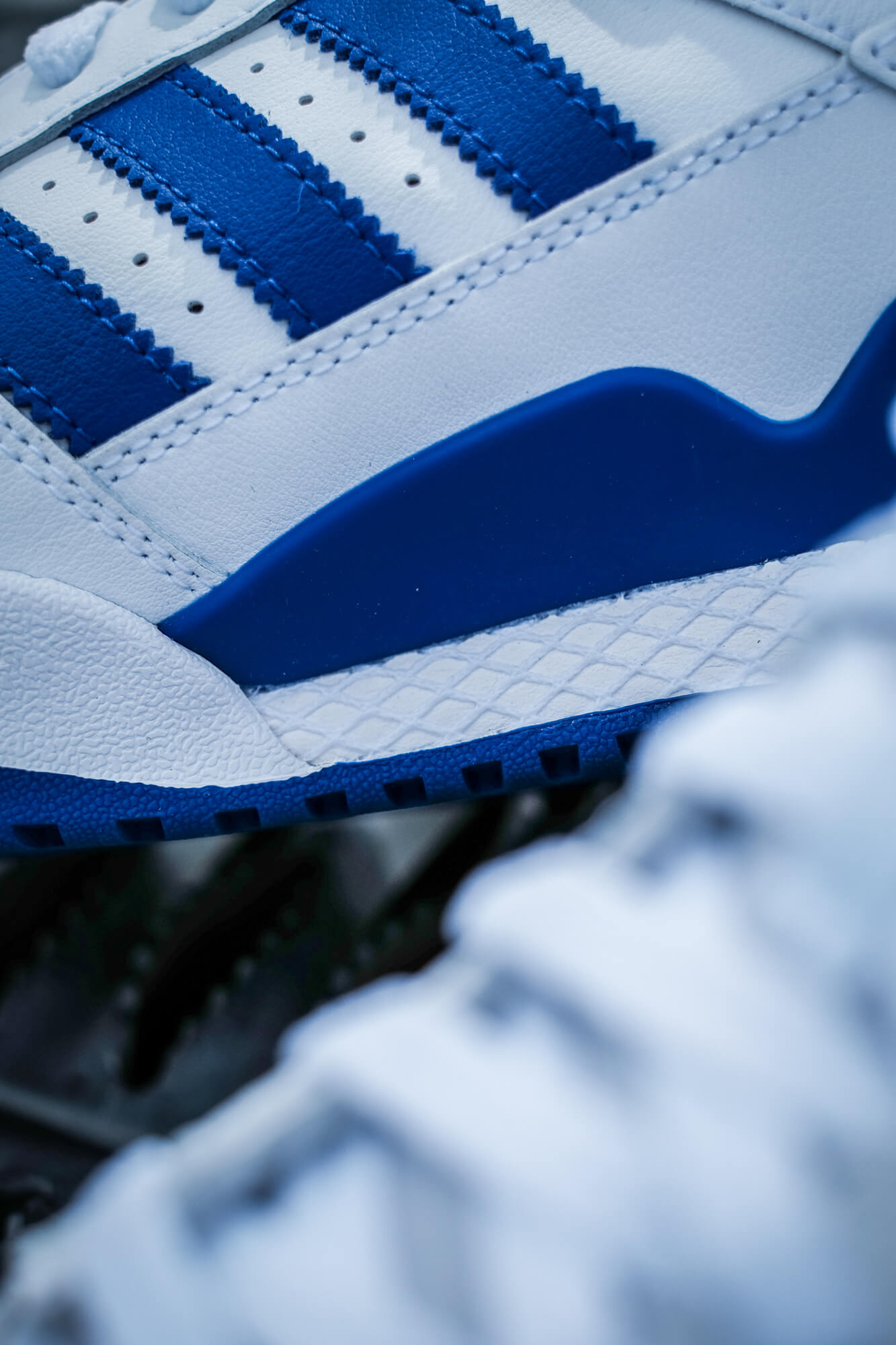 adidas dellinger web am adidas Forum Mid - cloud white/royal blue/cloud white - FY4976
