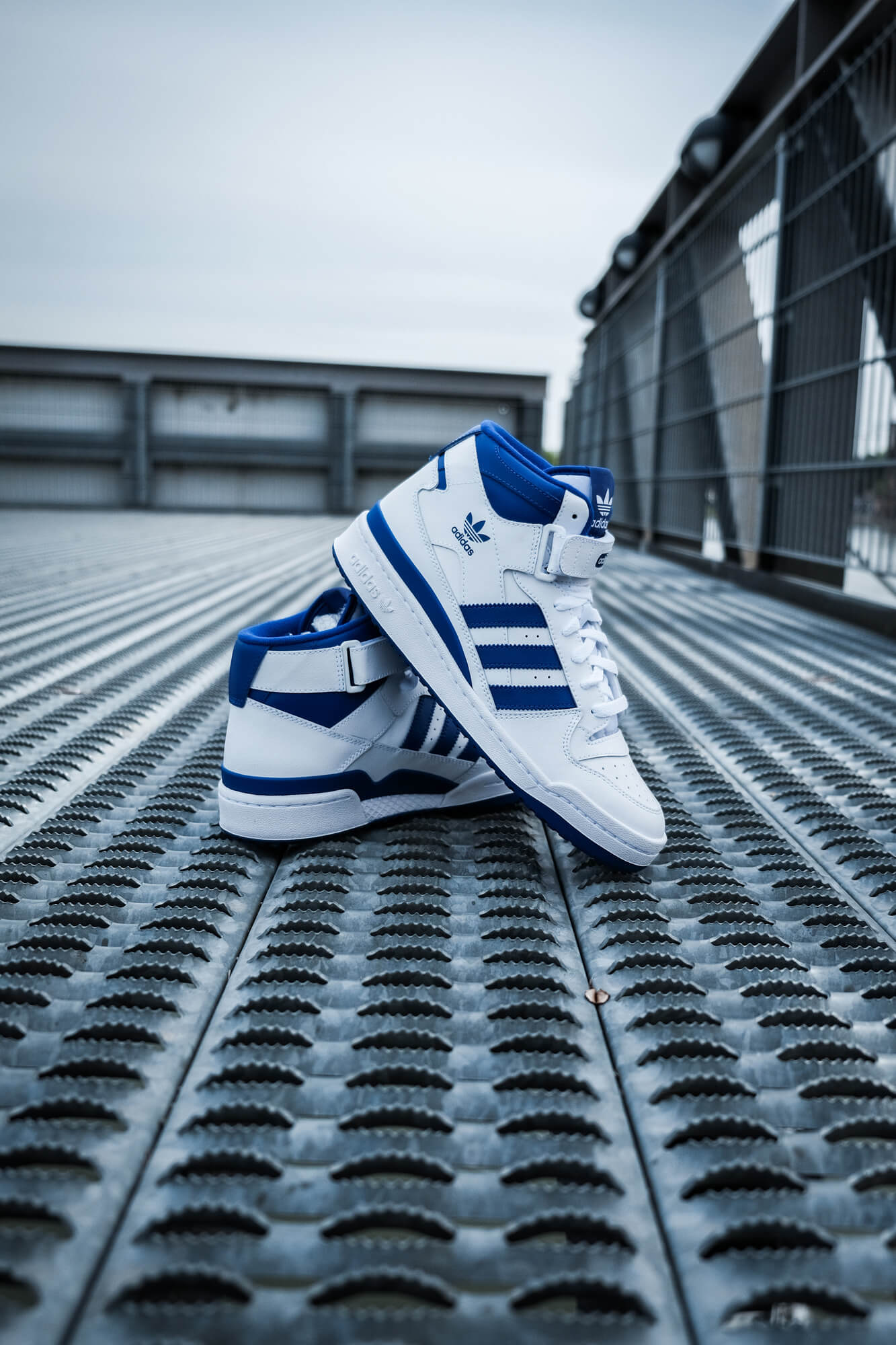 adidas Forum Mid - cloud white/royal blue/cloud white - FY4976