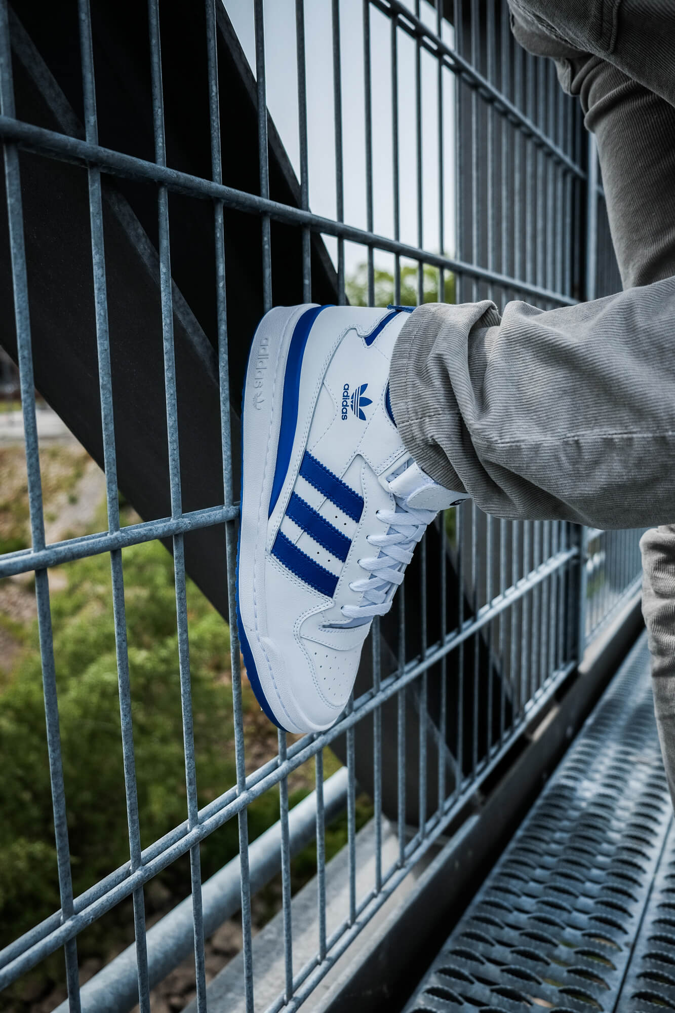 on feet photo of the adidas Forum Mid - cloud white/royal blue/cloud white - FY4976