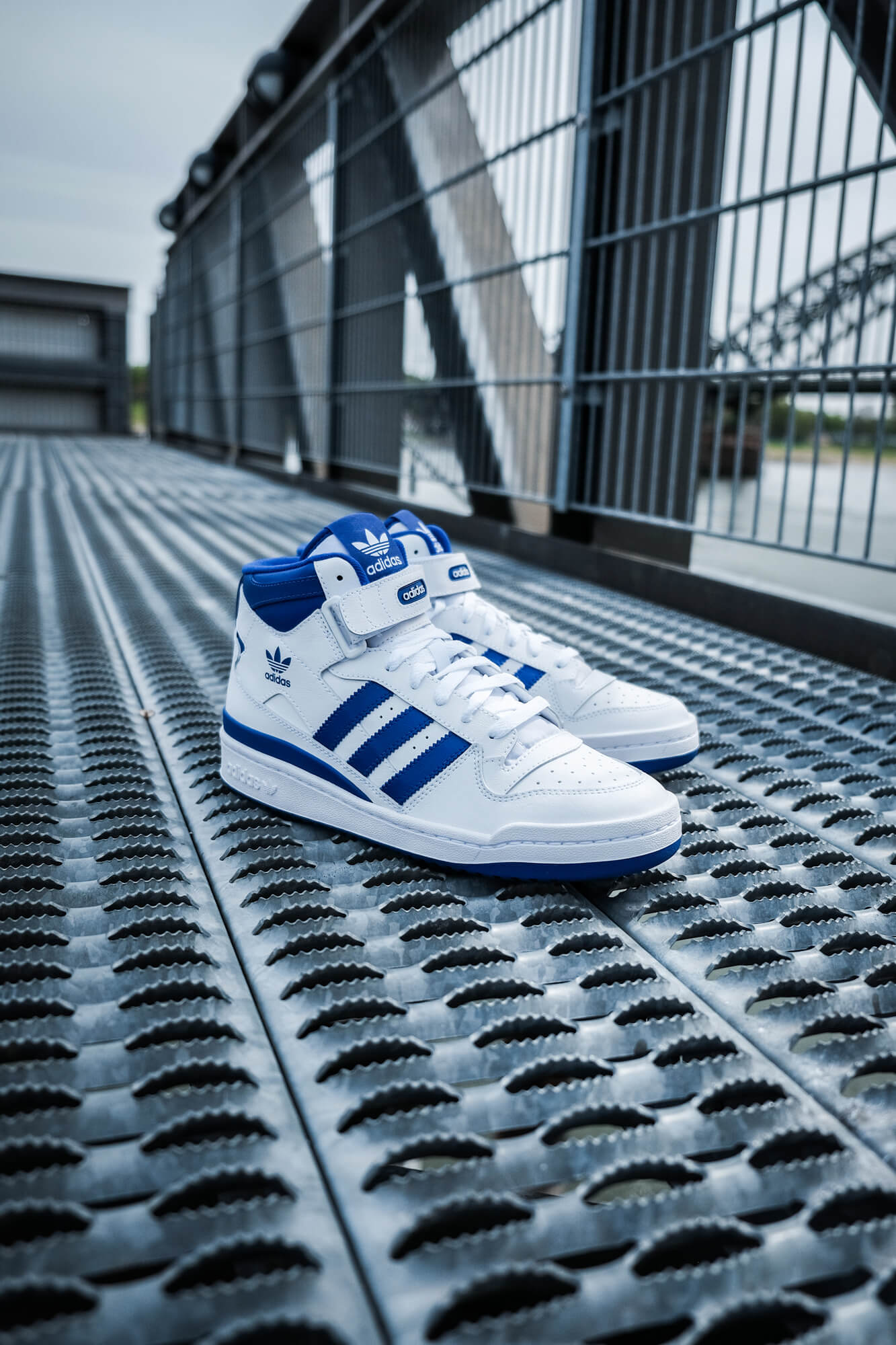 adidas Forum Mid - cloud white/royal blue/cloud white - FY4976