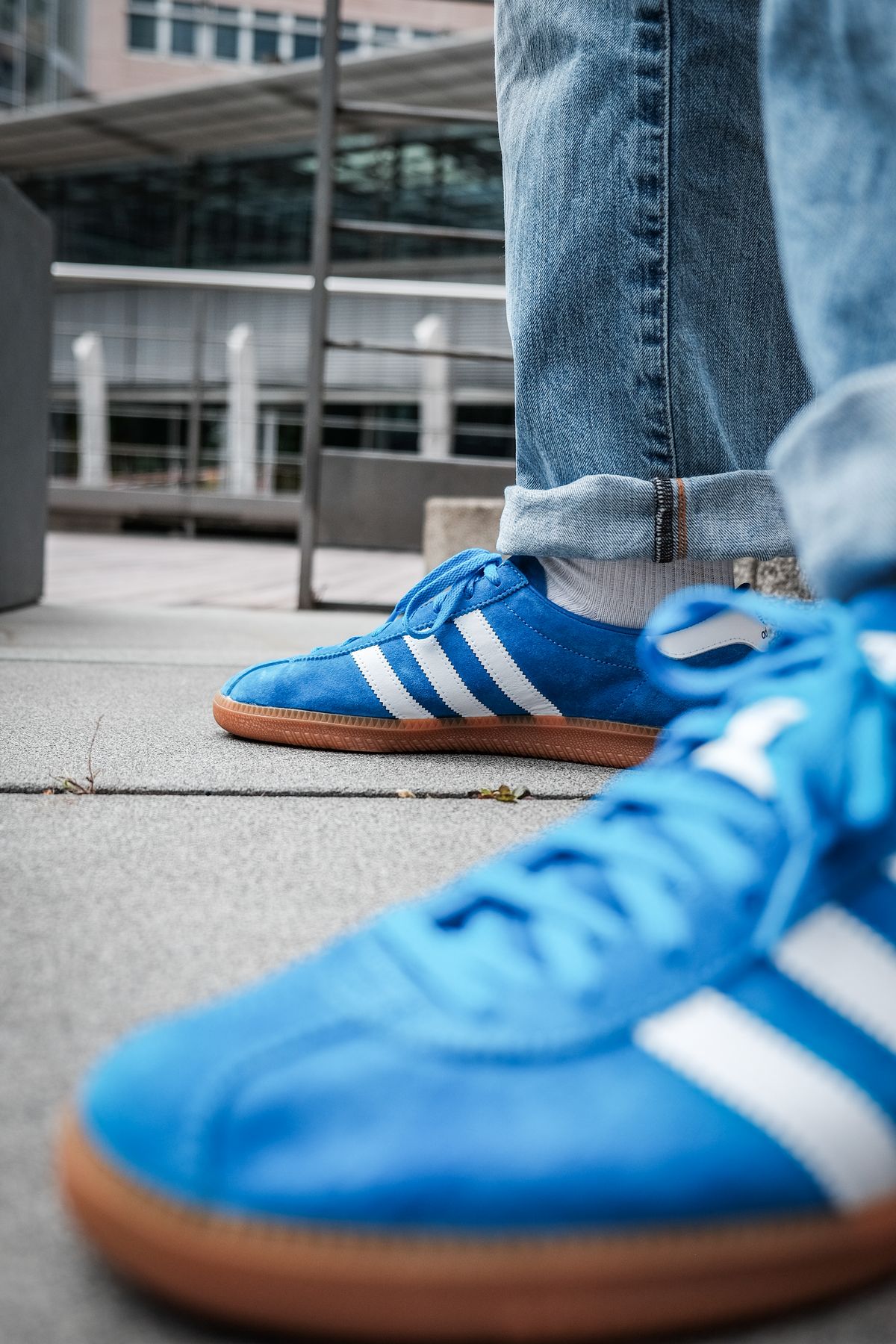 adidas Originals - Bleu - bright blue/cloud white/gold metallic - H01798