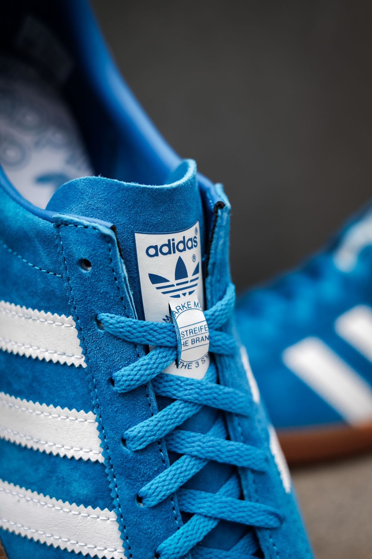 close up tongue tag - adidas Originals - Bleu - bright blue/cloud white/gold metallic - H01798