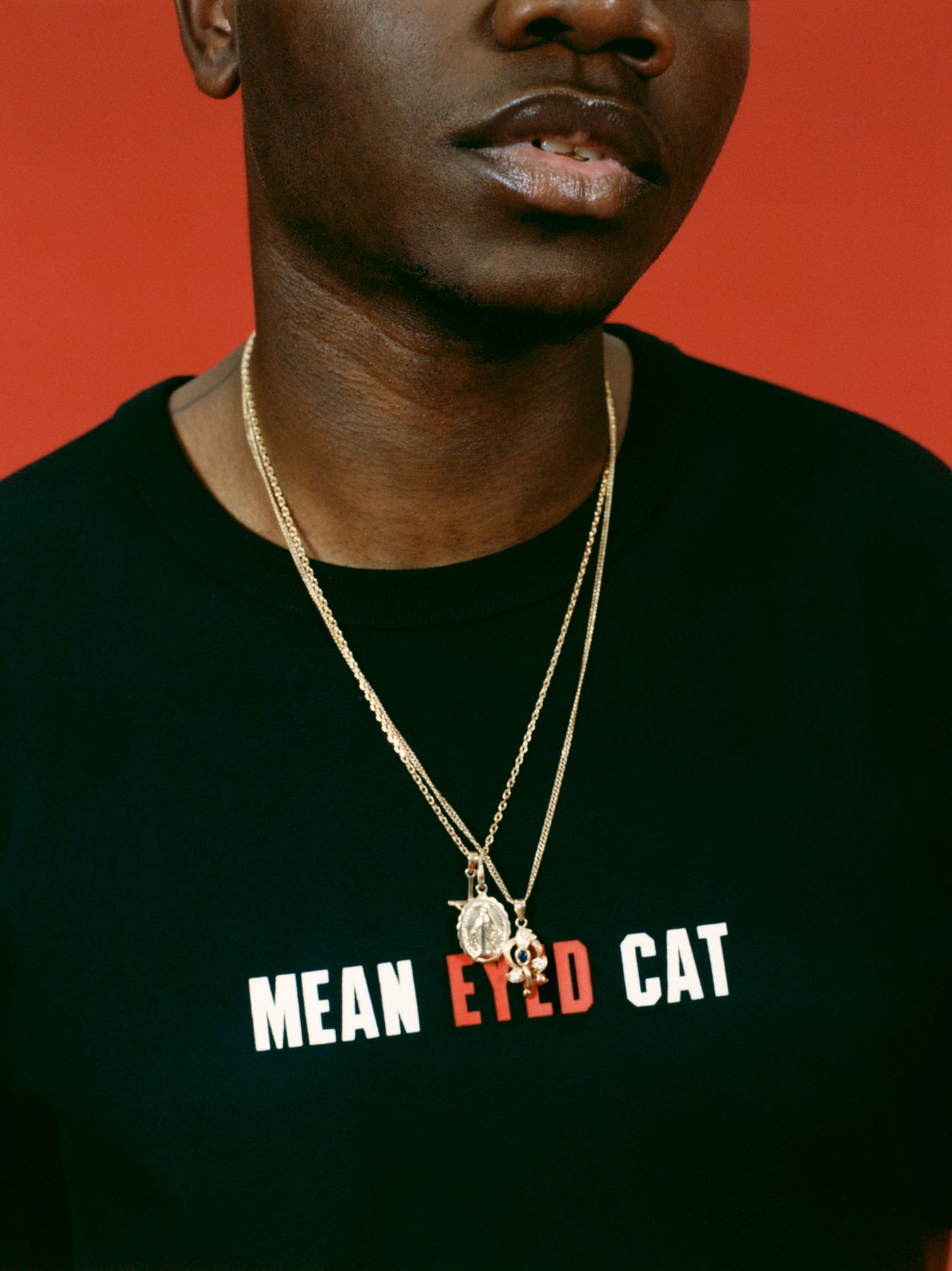 Out of love and necessity... Vans Vault & Patta mit der "Mean Eyed Cat" Collection