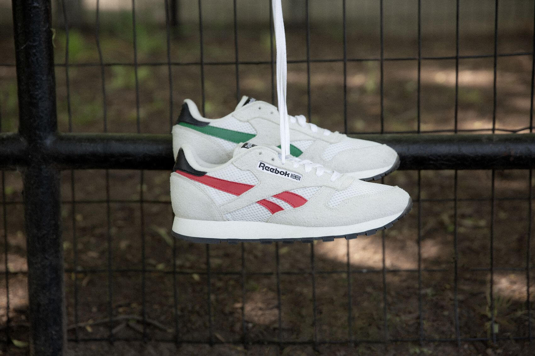 Human Rights Now! - Reebok - Classic Leather
