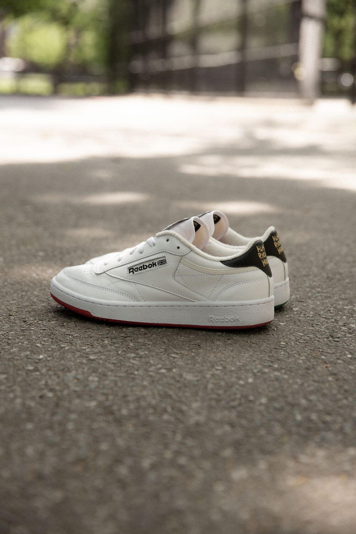 Human Rights Now! - Reebok - Club C 85 - GX8307