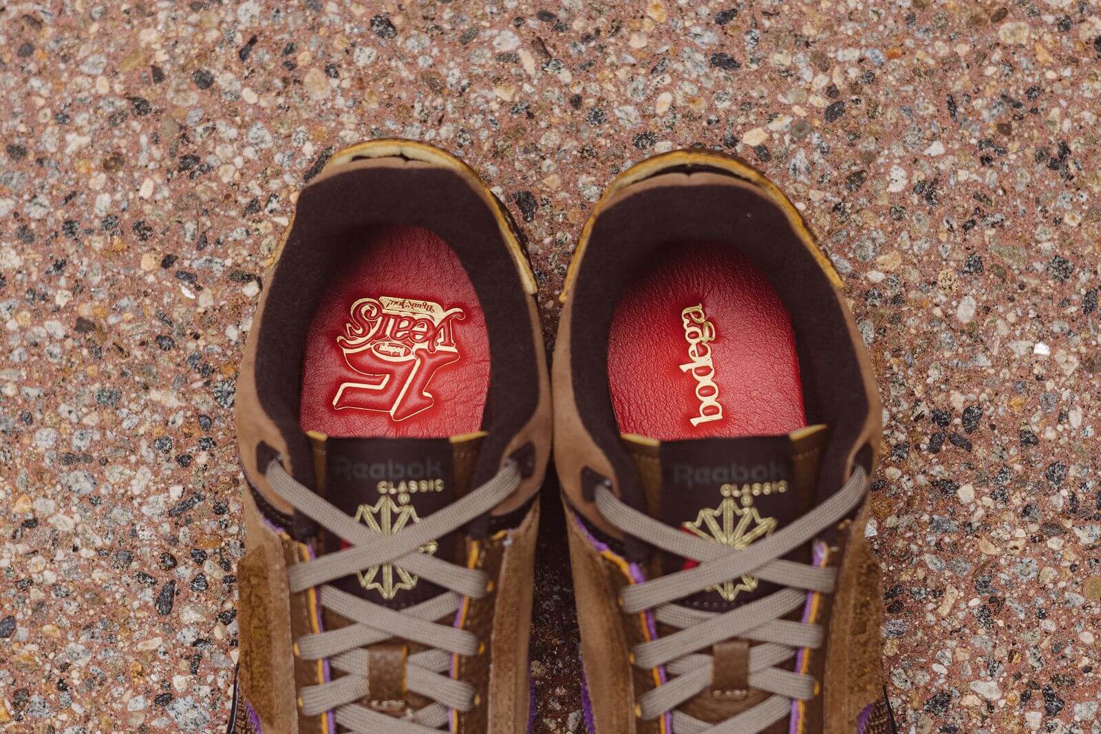Reebok x Bodega - Club C Legacy - just brown/extreme purple/earth - H03360