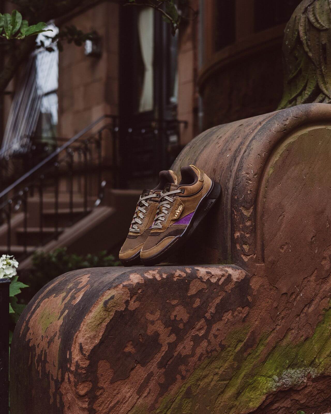 Reebok x Bodega - Club C Legacy - just brown/extreme purple/earth - H03360