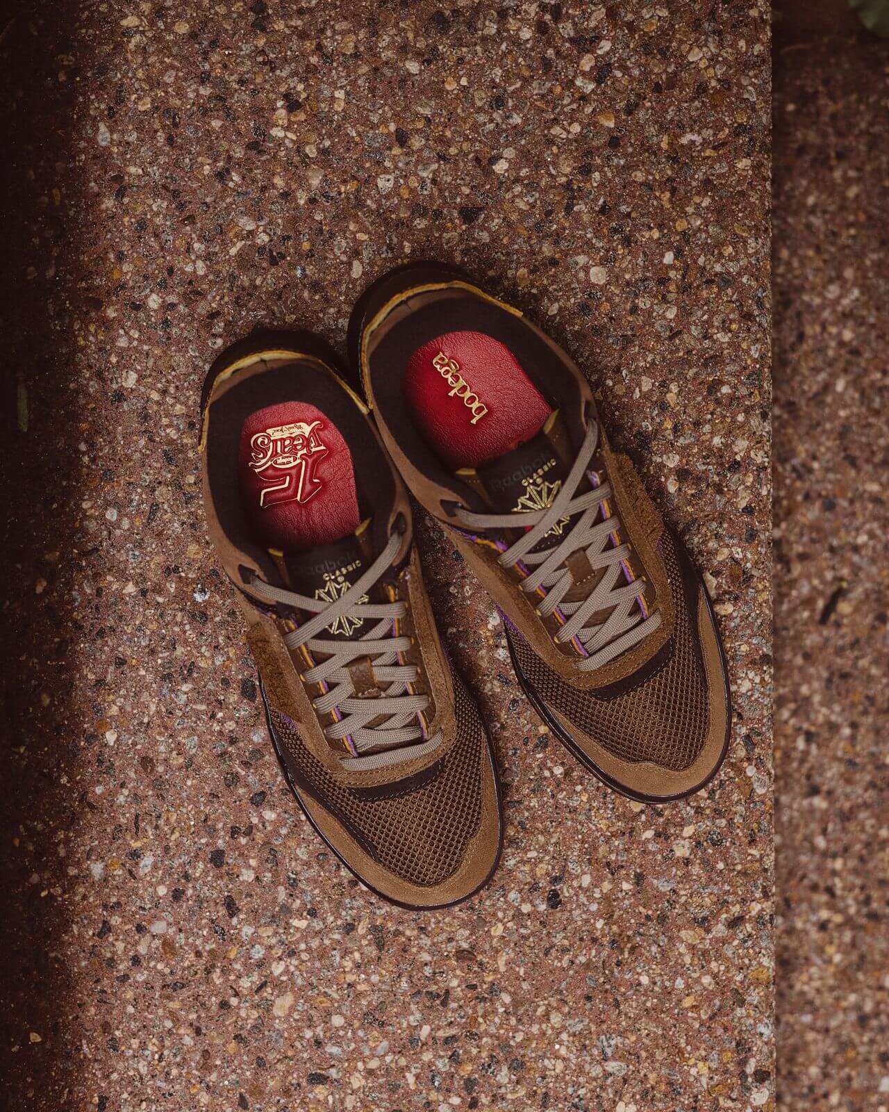 Reebok x Bodega - Club C Legacy - just brown/extreme purple/earth - H03360