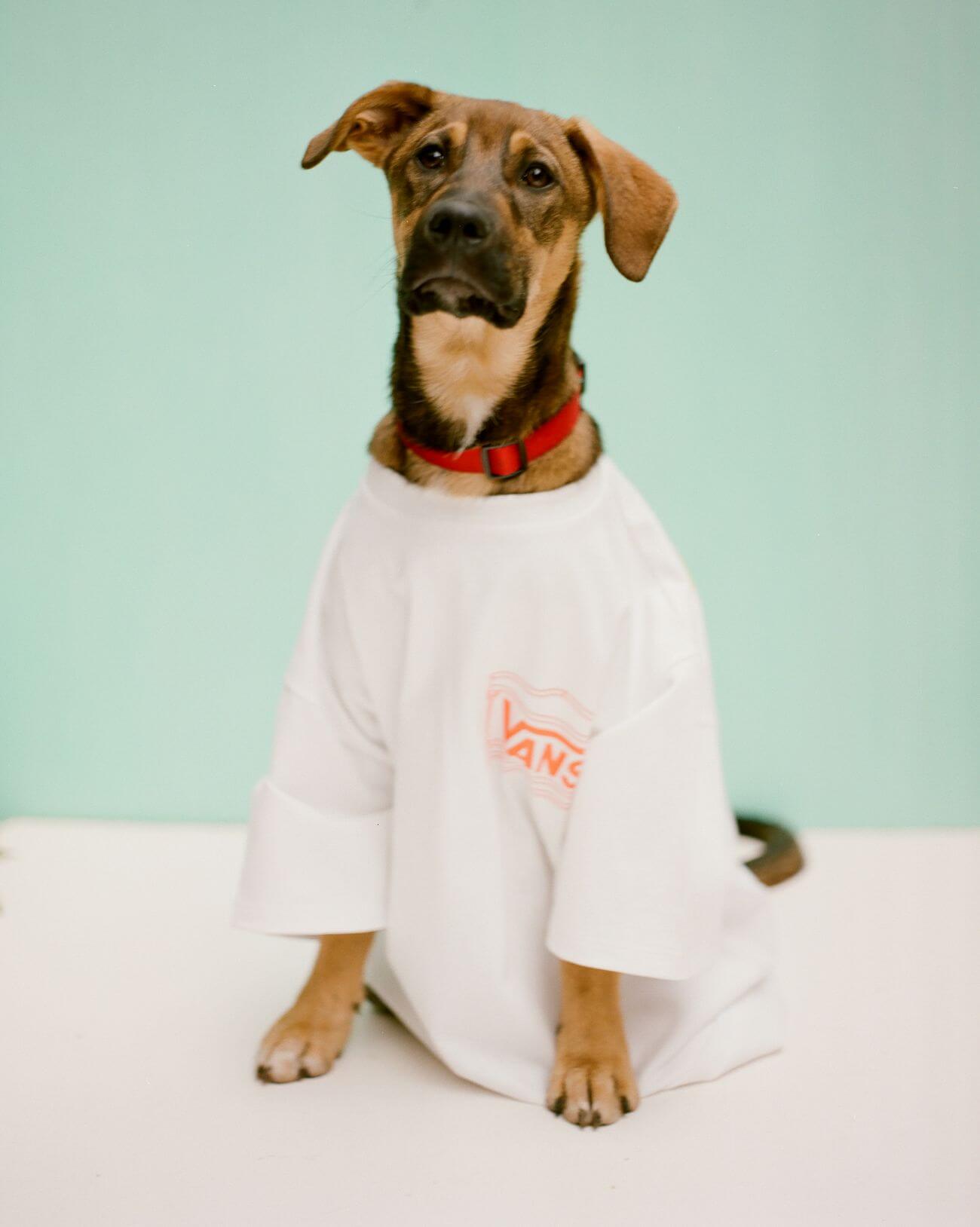 Vault by Vans x Aries - FW21 - sneaker and apparel collection