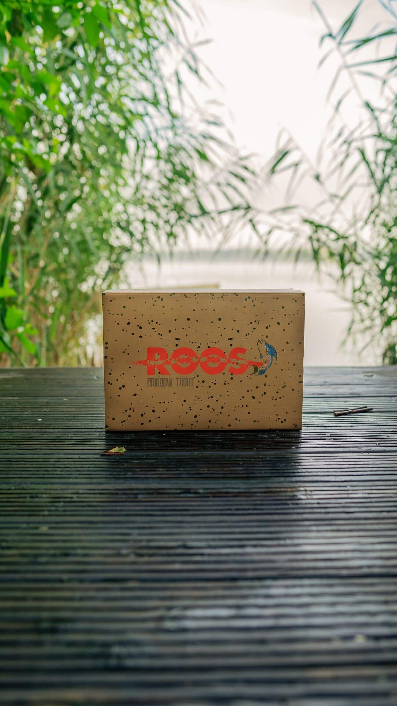 KangaROOS "ROOS UNITED": The Rainbow Trout by Bisso & Max