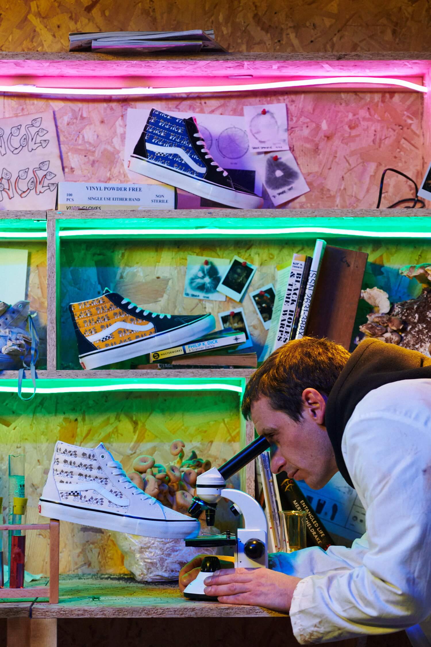 Vans x Palace Sk8-Hi Skate „Mushrooms“