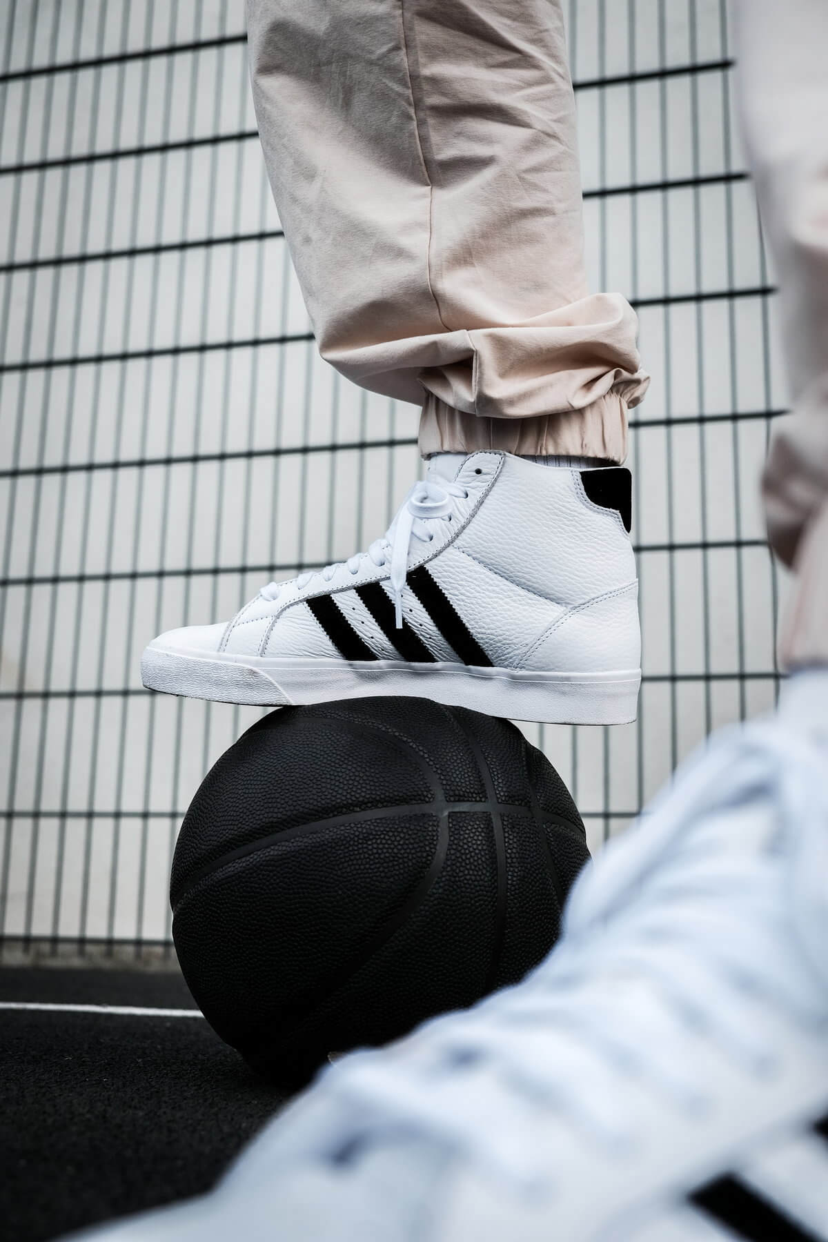 on feet - adidas Originals - Basket Profi - cloud white/core black/gold metallic - FW3108