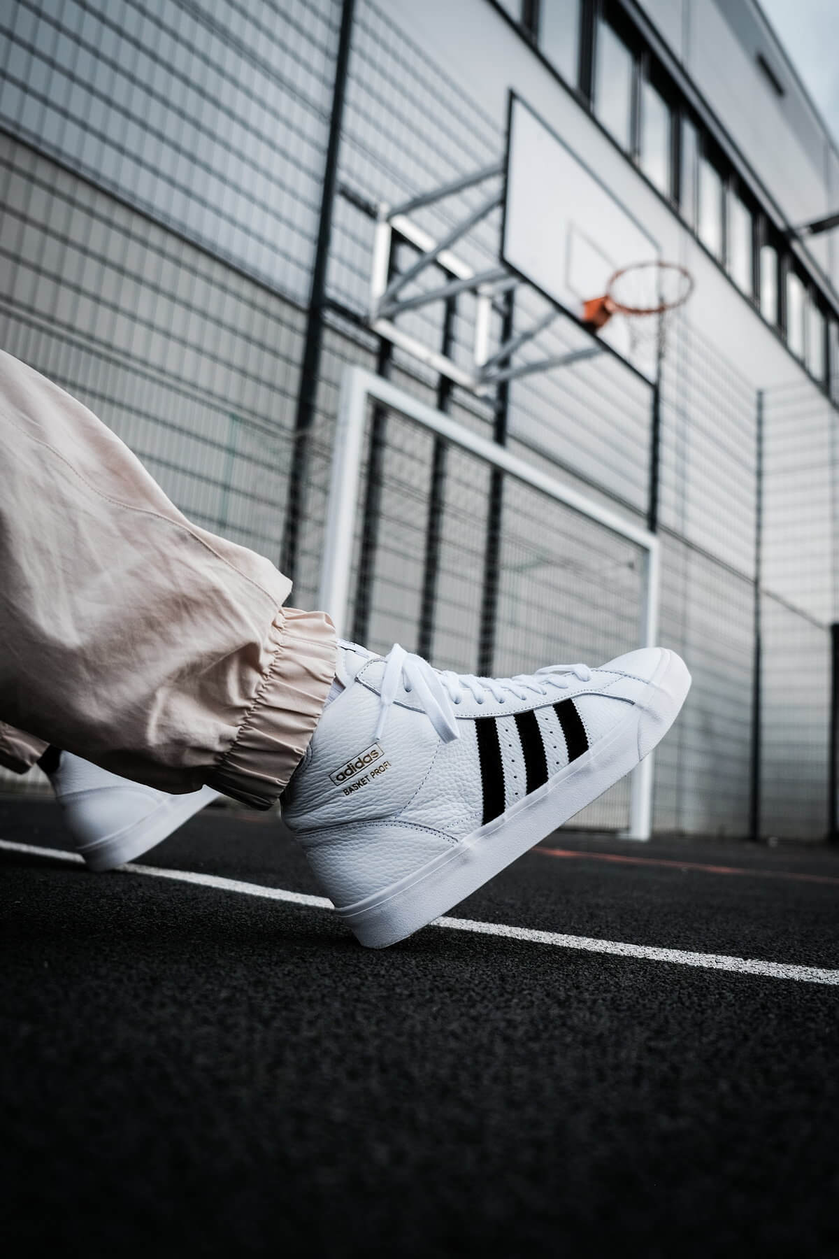 adidas Originals - Basket Profi - cloud white/core black/gold metallic - FW3108