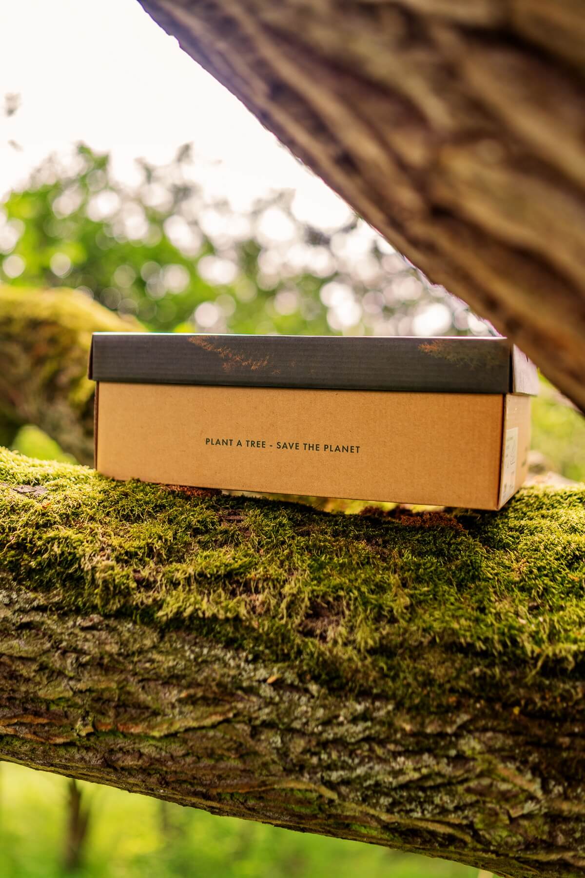 KangaROOS x Environment Day Ultimate "Made in Germany"
