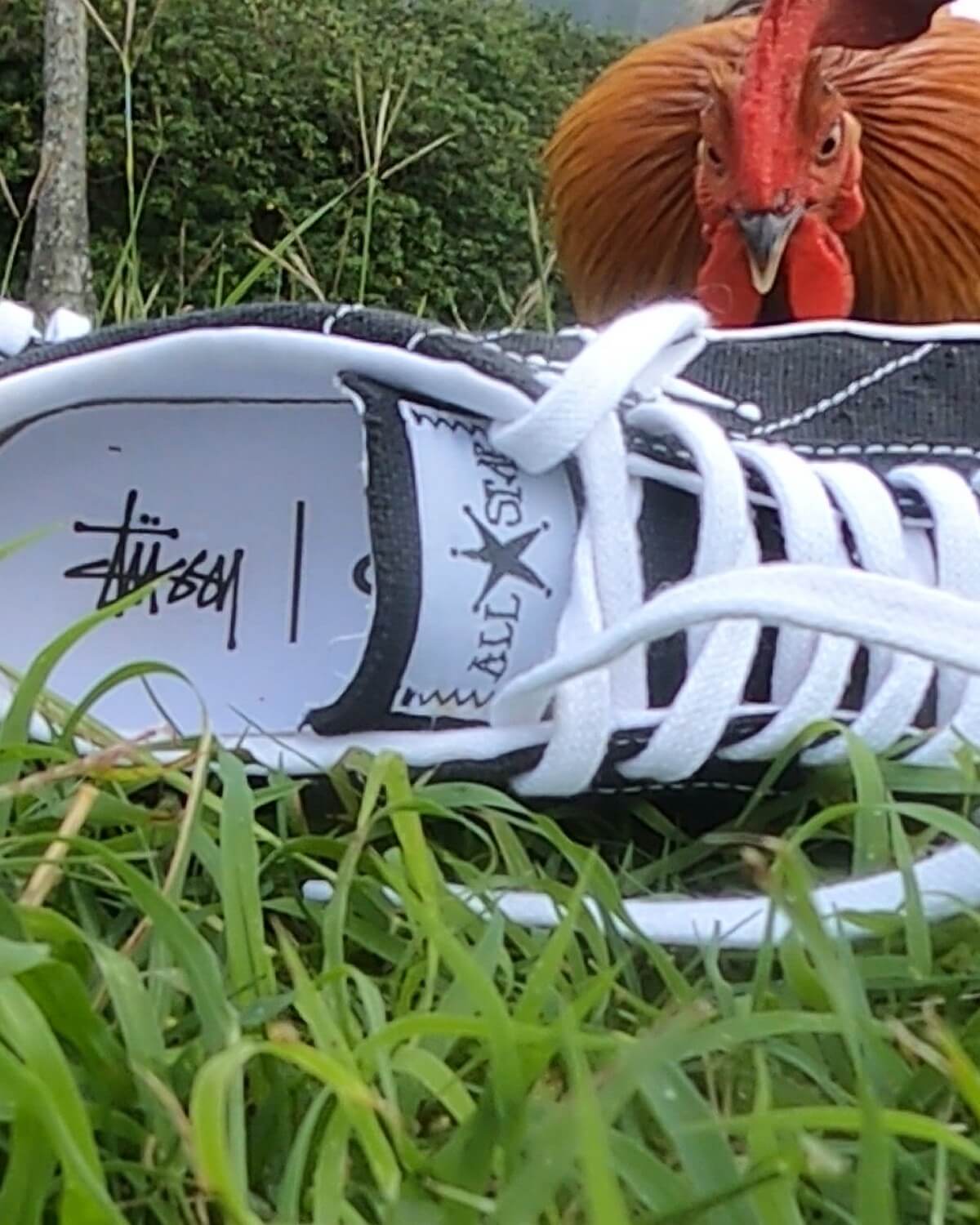 Converse x Stüssy One Star & Chuck 70 Black / White