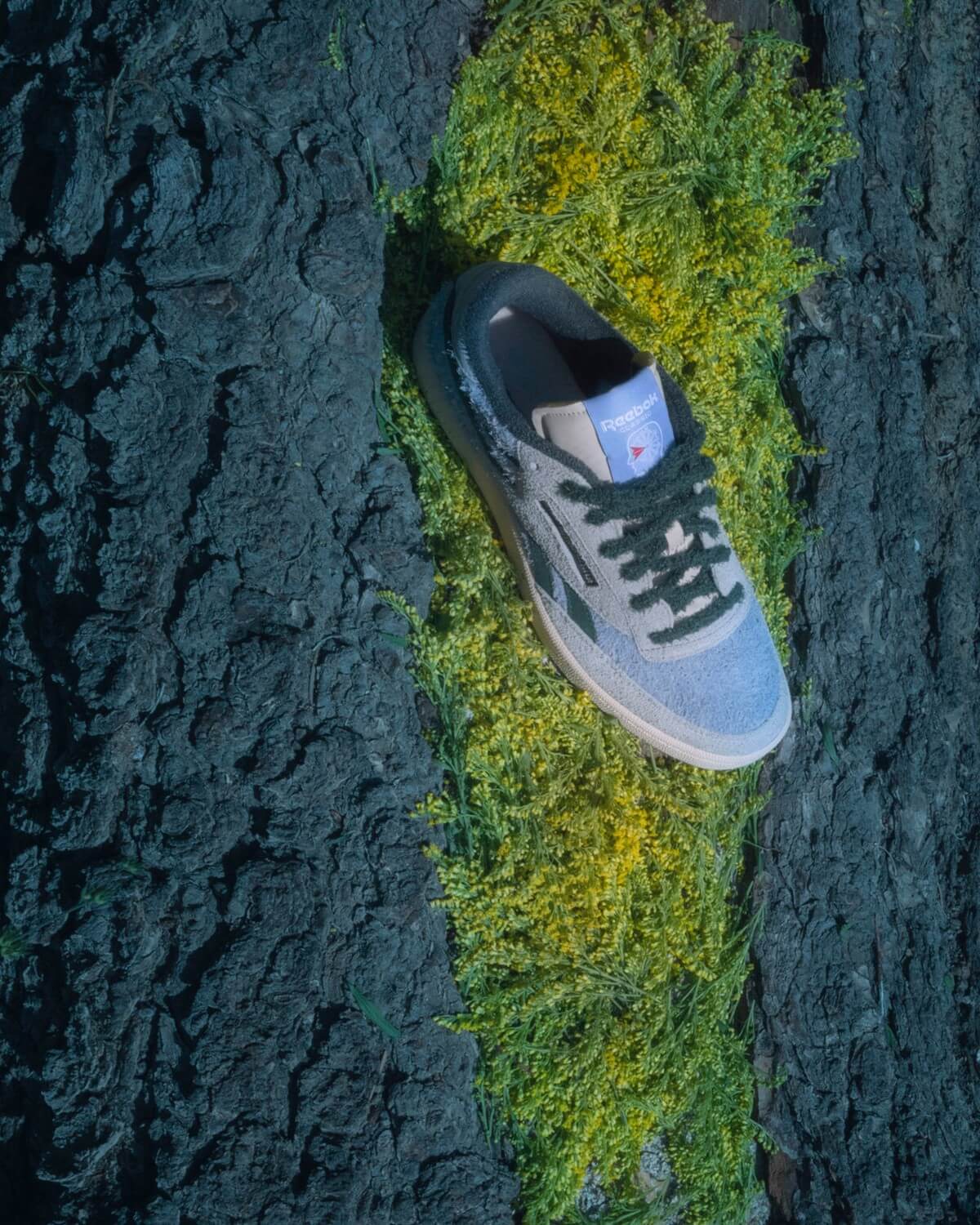 Reebok x Brain Dead Club C Revenge - Soft Ecru / Dark Forest / Tin Gray