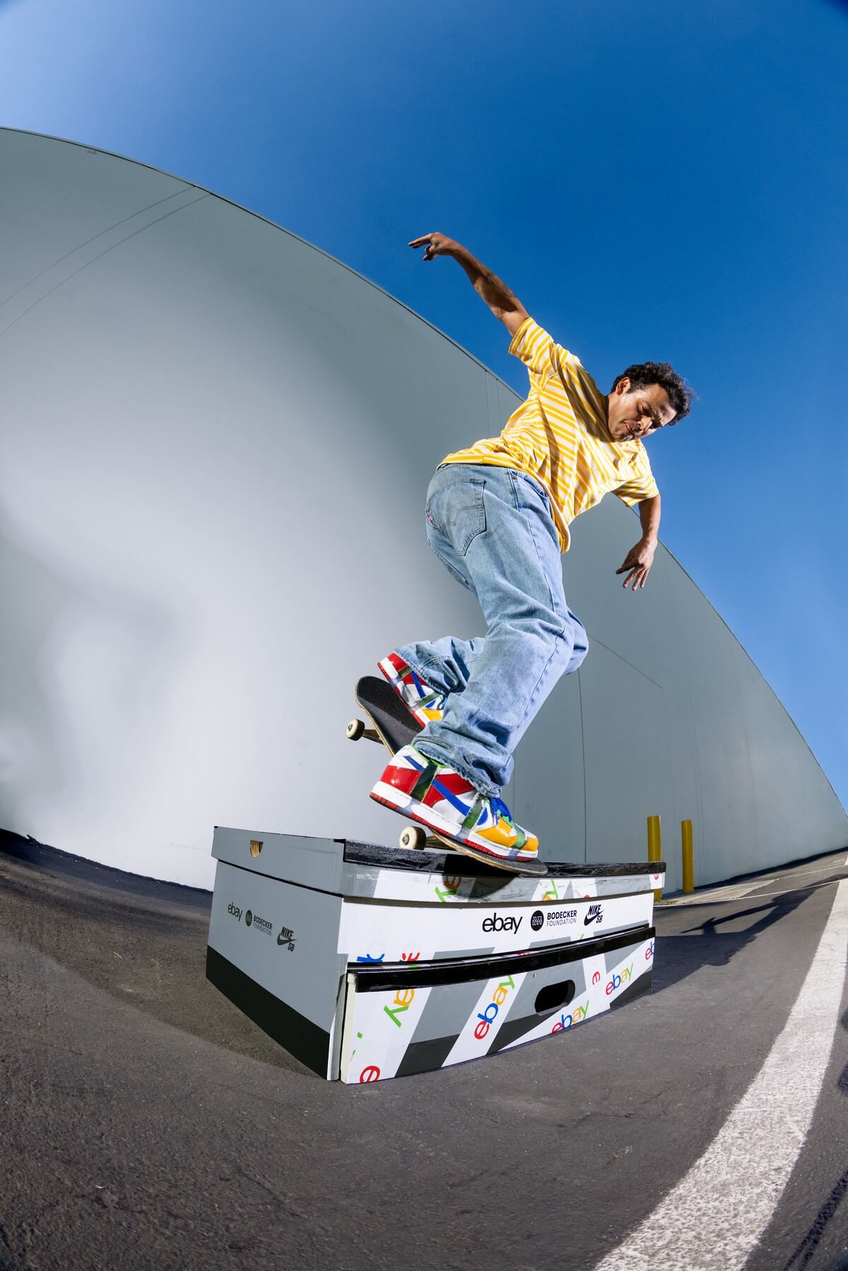 Nike SB x ebay Dunk Low Sandy Bodecker