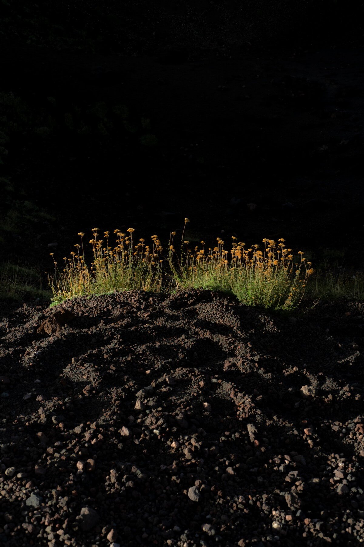 Carhartt WIP Trail Collection Spring/Summer 2023