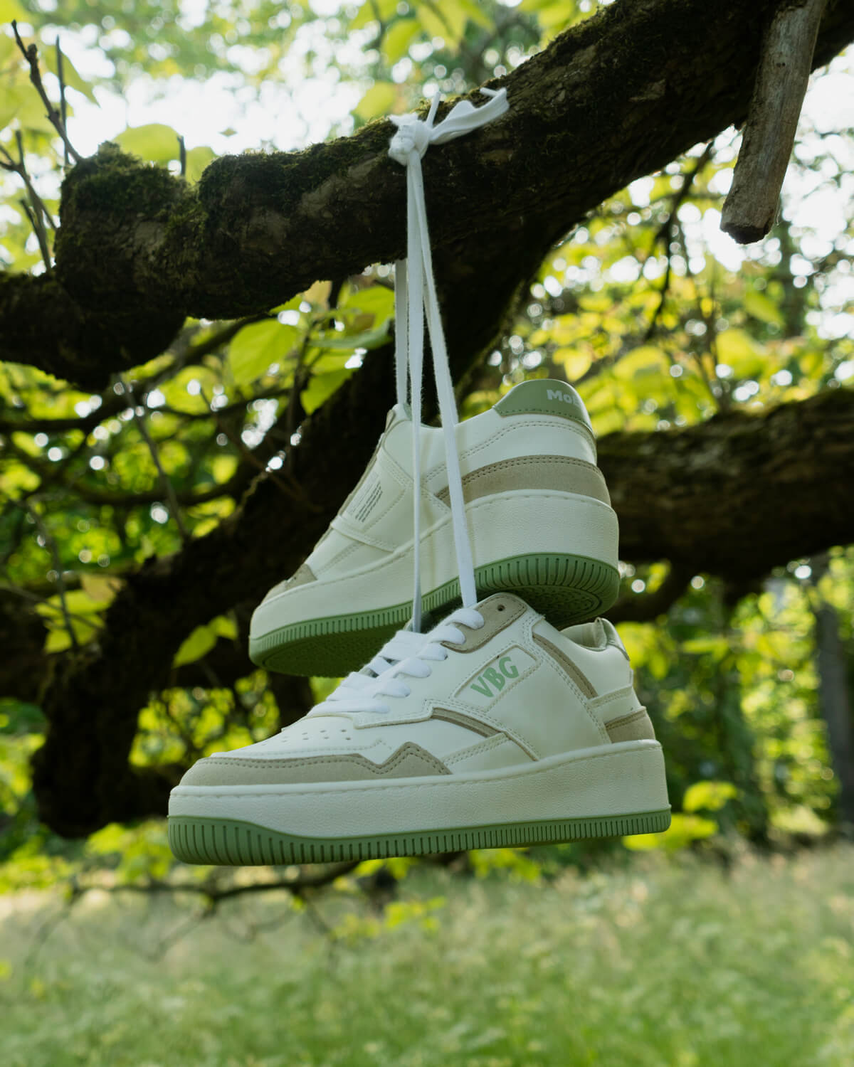MoEa x VBG (Verband Botanischer Gärten) GEN1