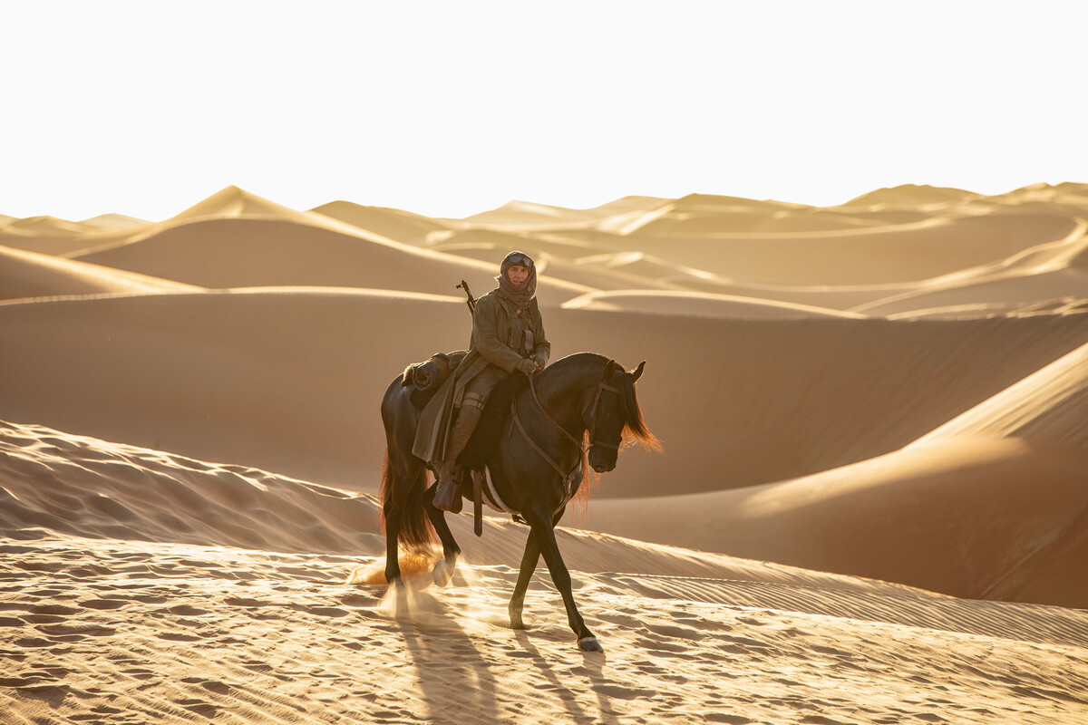 Tom Cruise in Mission: Impossible - Dead Reckoning Part One