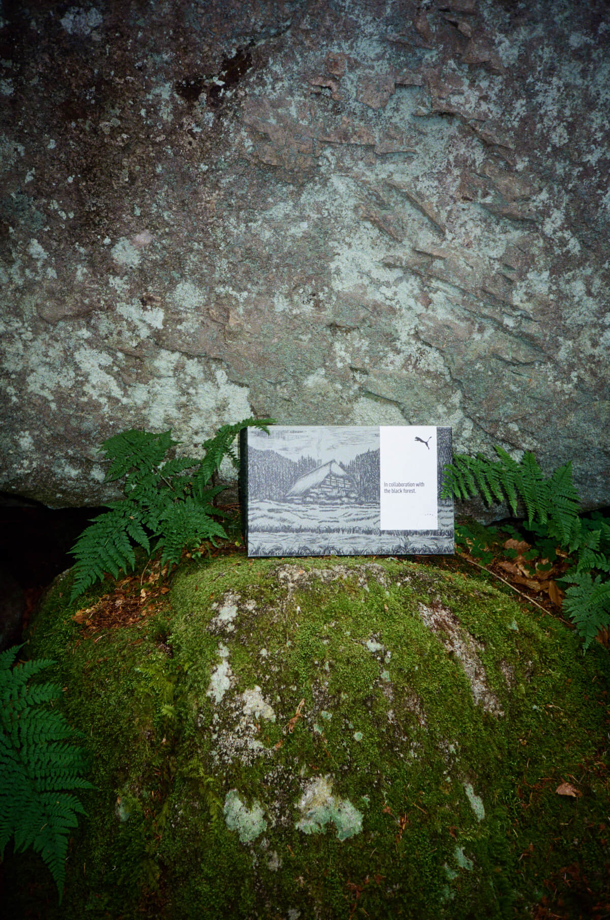 Puma x Black Forest Velophasis "Into the Nature"