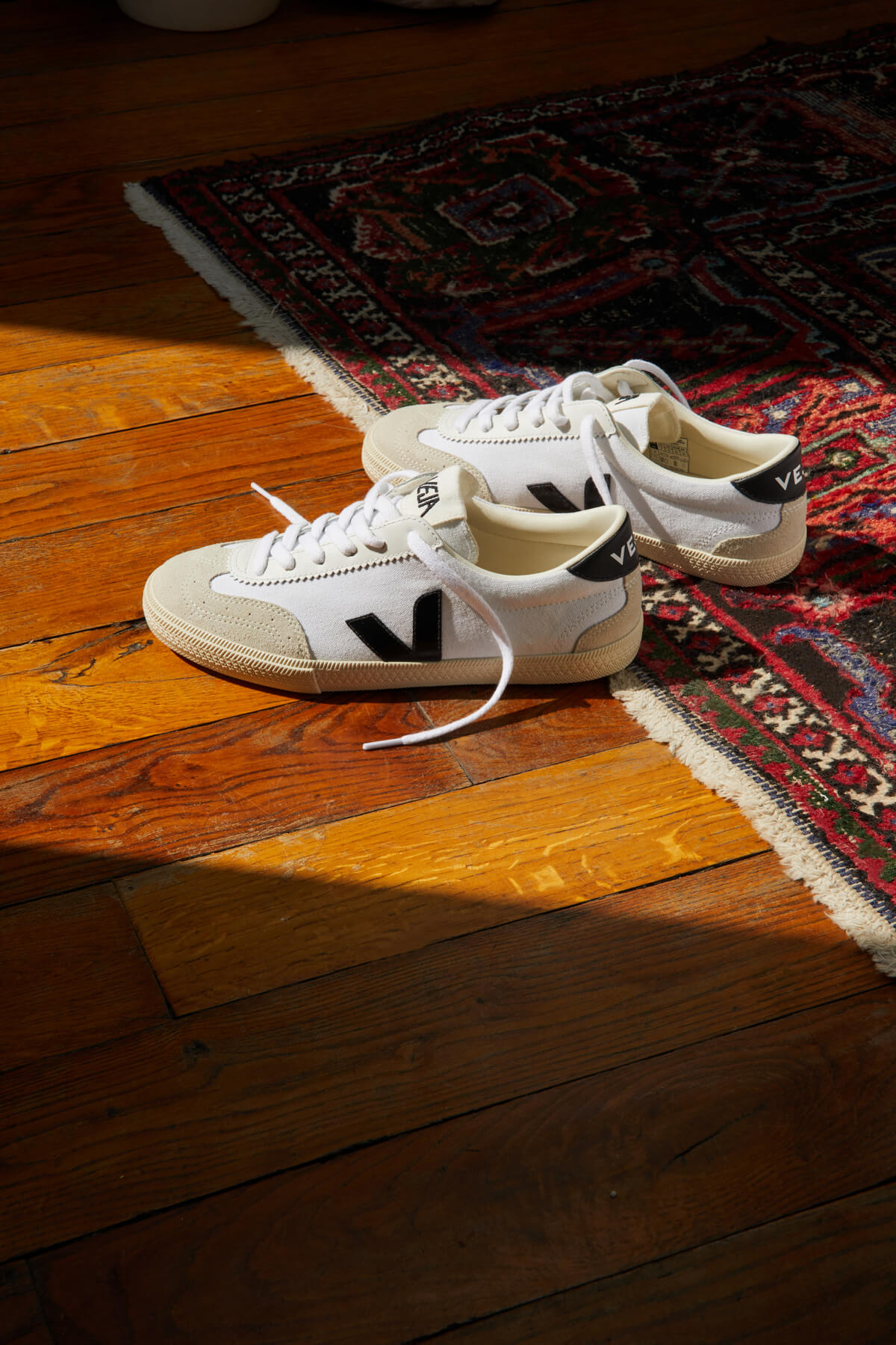 Veja Volley Canvas