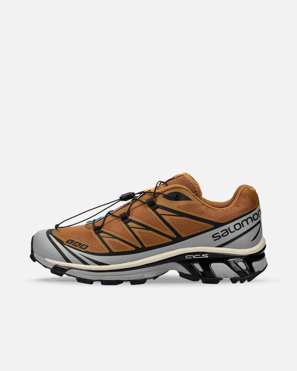 Salomon XT-6