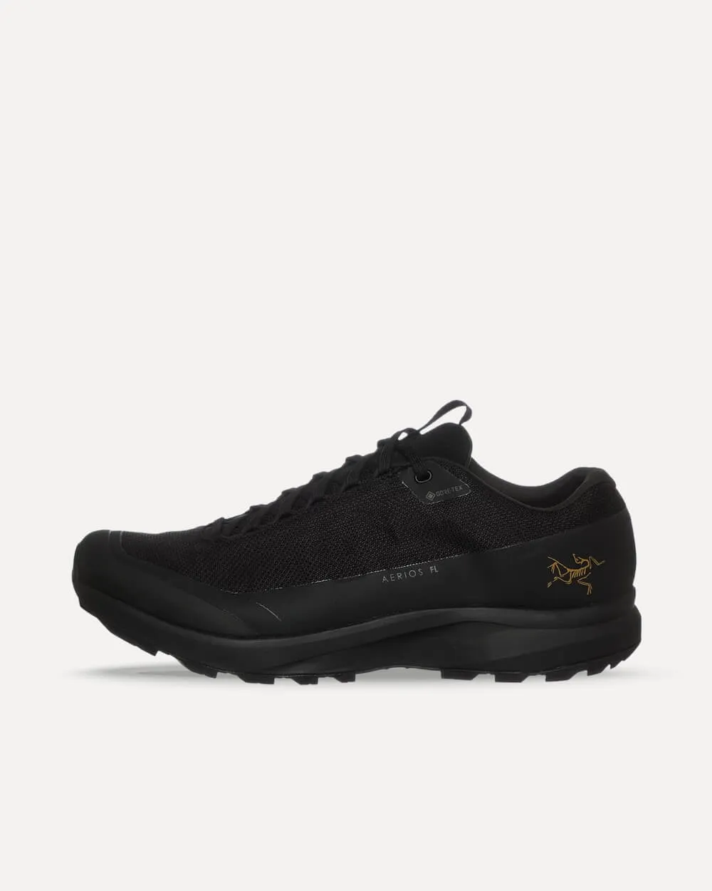 Arcteryx Aerios FL 2 GTX