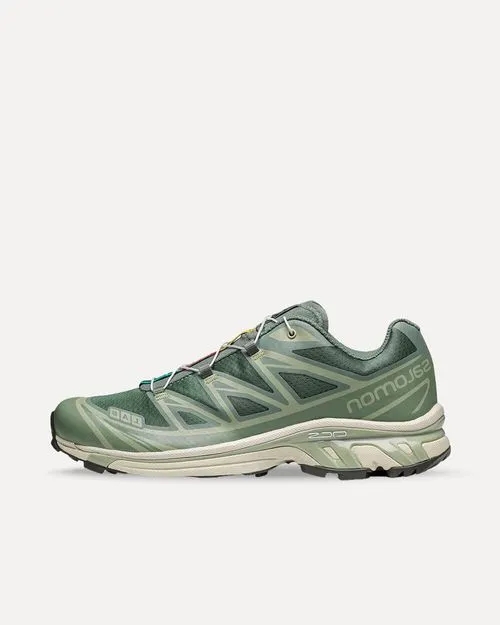 Salomon XT-6