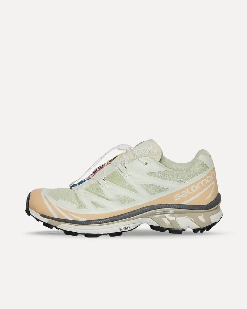 Salomon XT-6