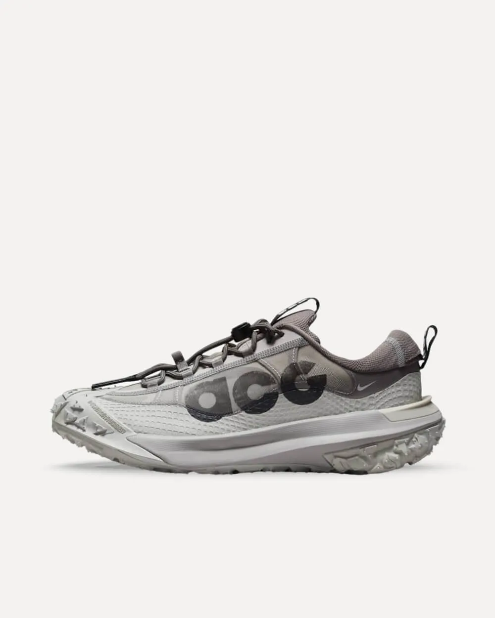 Nike ACG Mountain Fly 2 Low