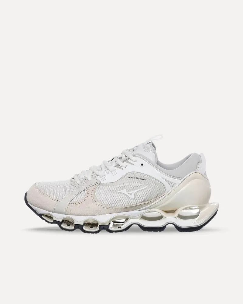 Mizuno Wave Prophecy Beta 2