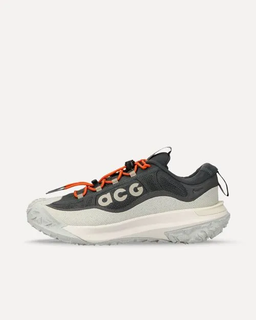Nike ACG Mountain Fly 2 Low Gore-Tex