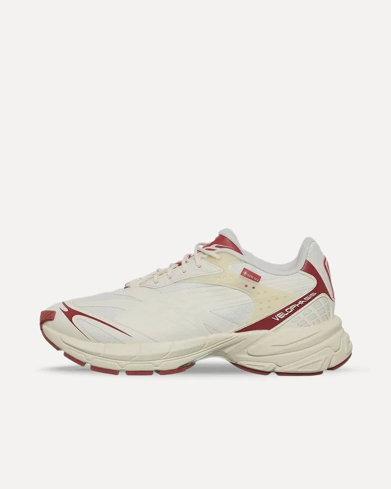 Puma Velophasis Gorp GTX