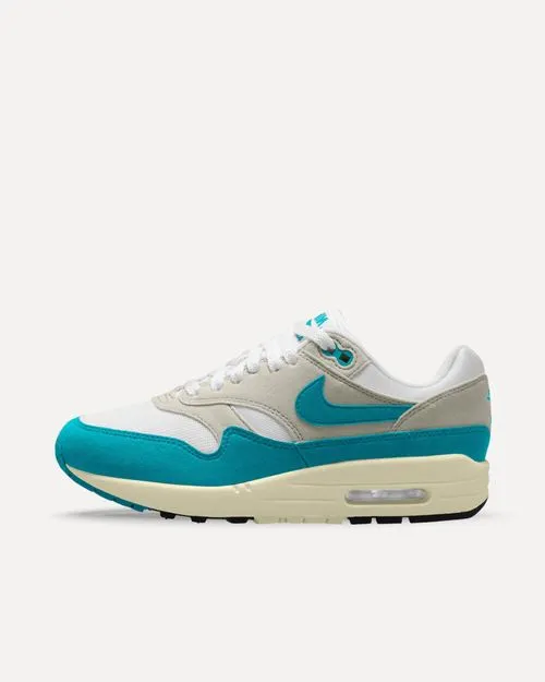 Nike Air Max 1 „Dusty Cactus“