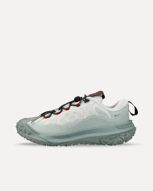 Nike ACG Mountain Fly 2 Low Gore-Tex