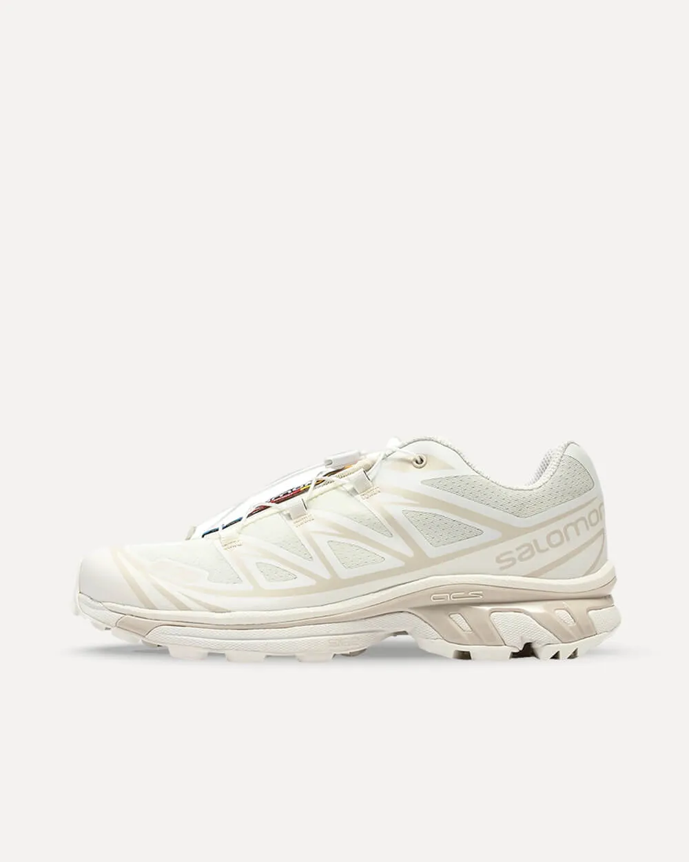 Salomon XT-6