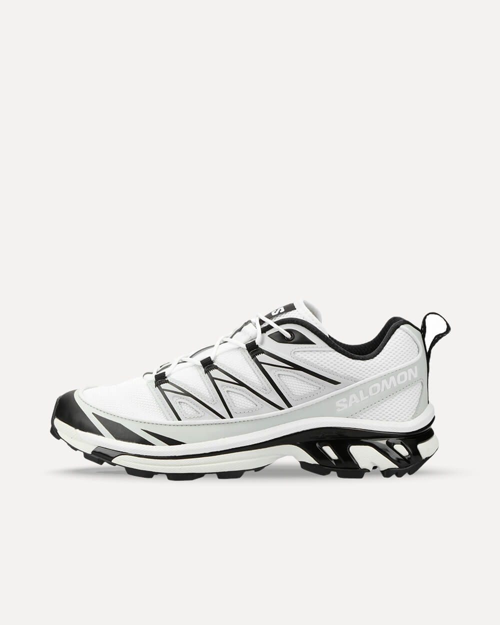 Salomon XT-6 Expanse