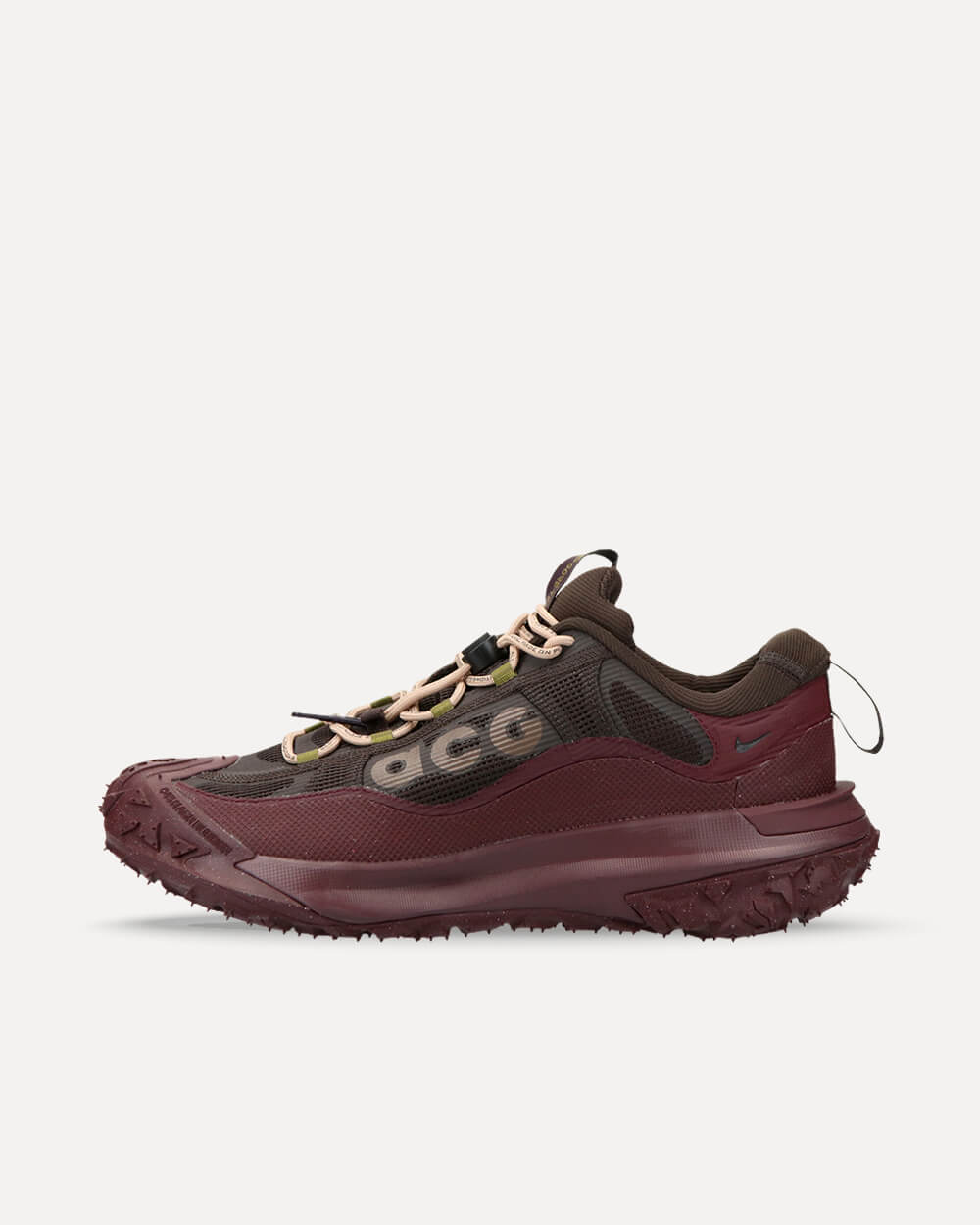 Nike ACG Mountain Fly 2 Low Gore-Tex