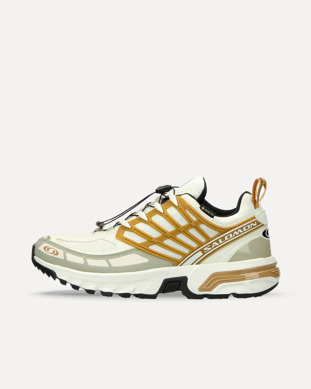 Salomon ACS PRO GTX