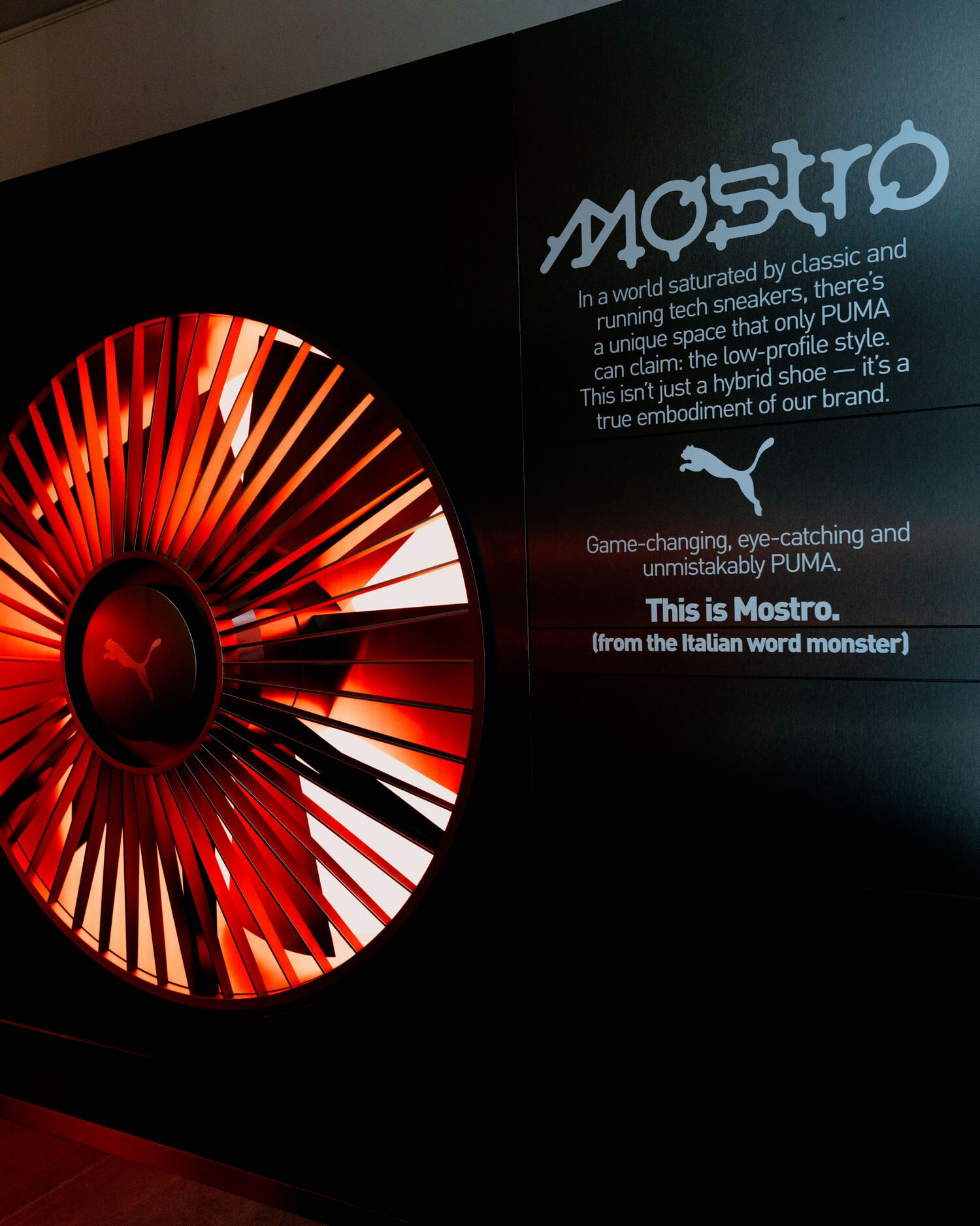 Puma Mostro House / Paris Fashion Week 2025