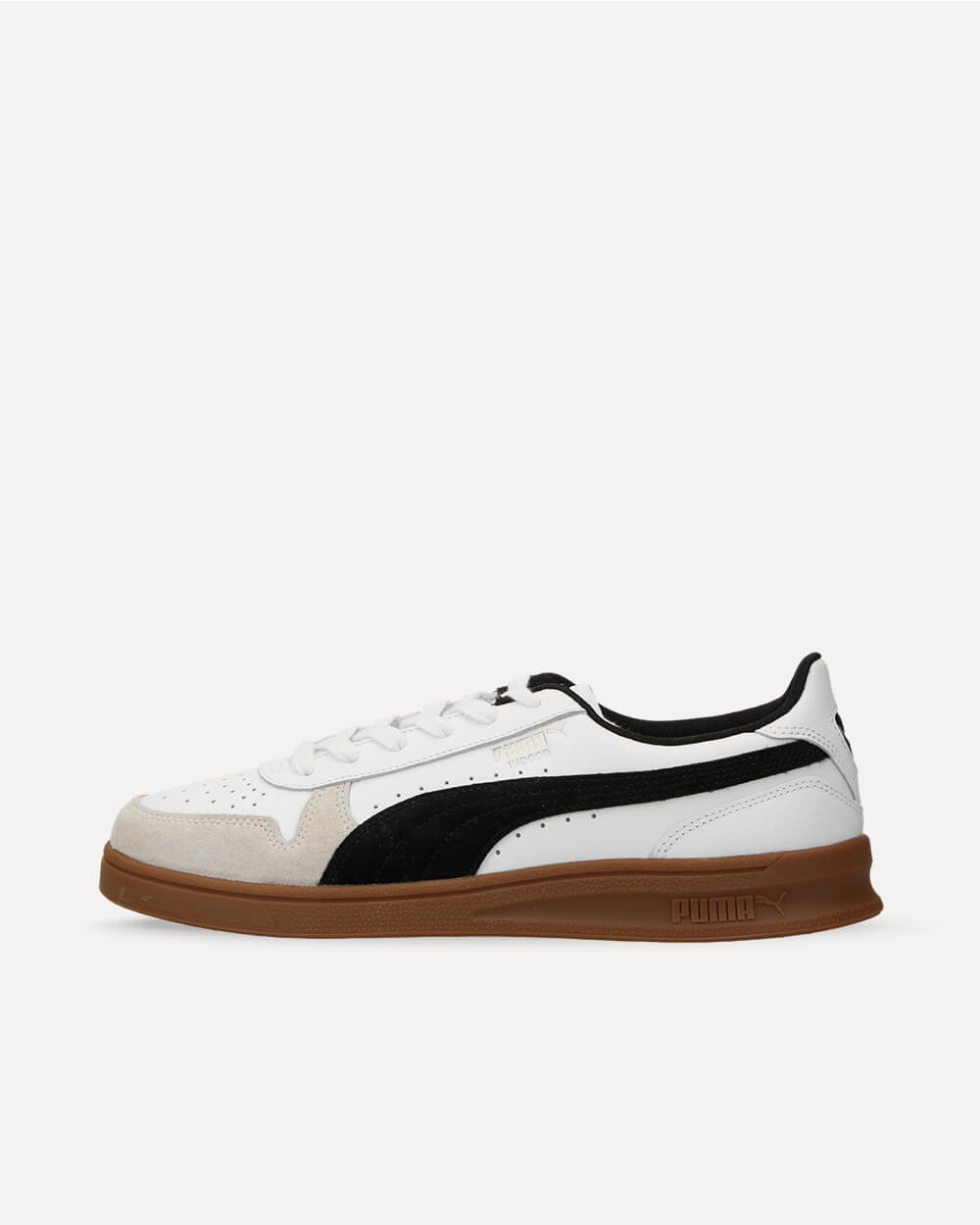 Puma Indoor