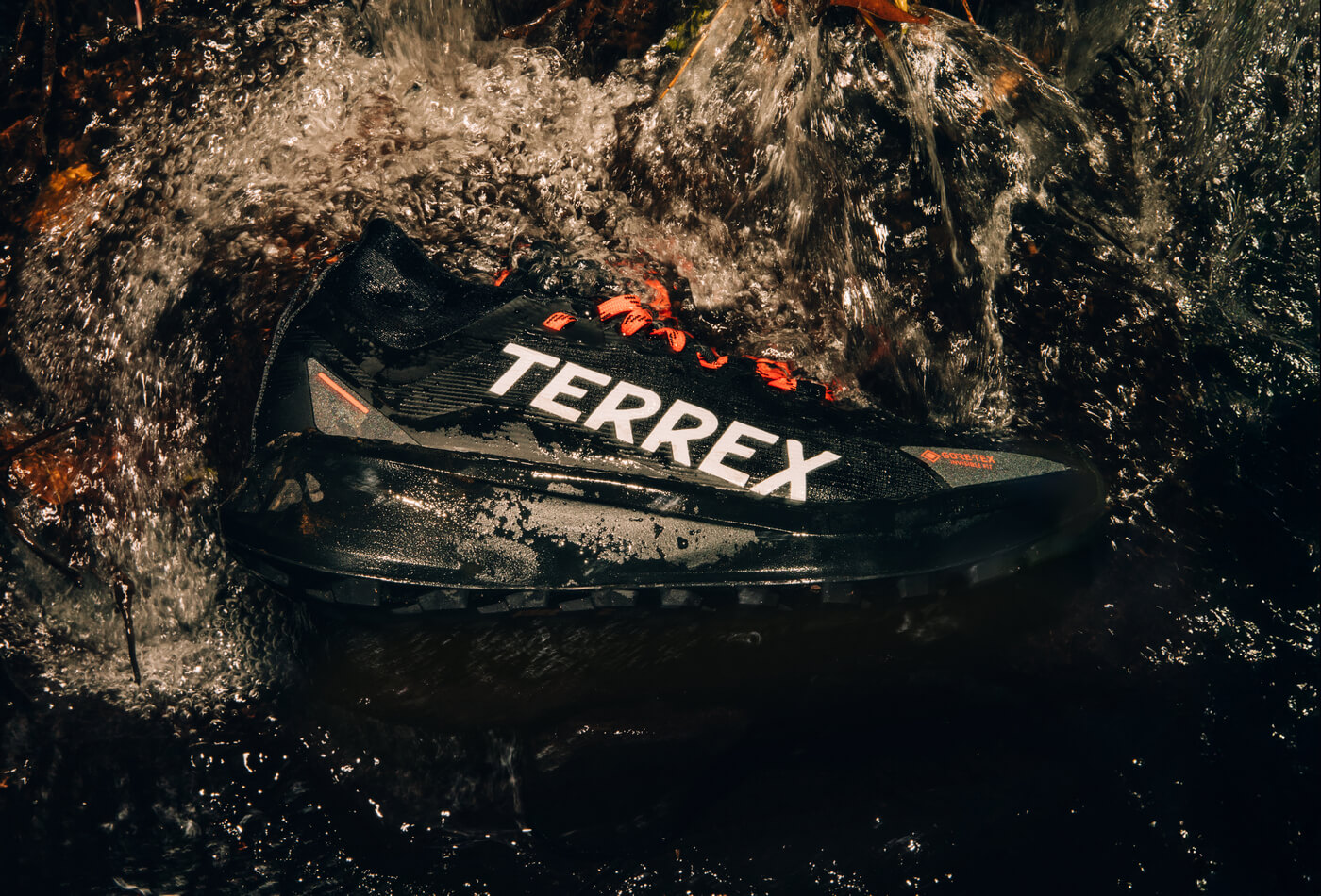 adidas TERREX Agravic GORE-TEX
