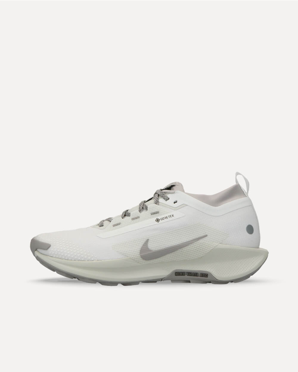 Nike Pegasus Trail 5 Gore-Tex SP