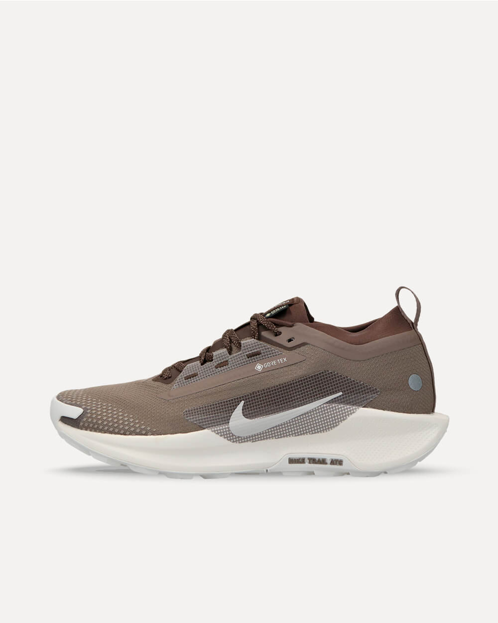 Nike Pegasus Trail 5 Gore-Tex SP