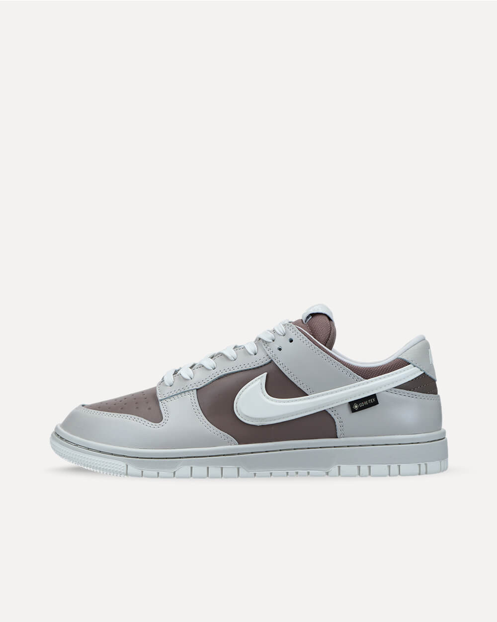 Nike Dunk Low GTX