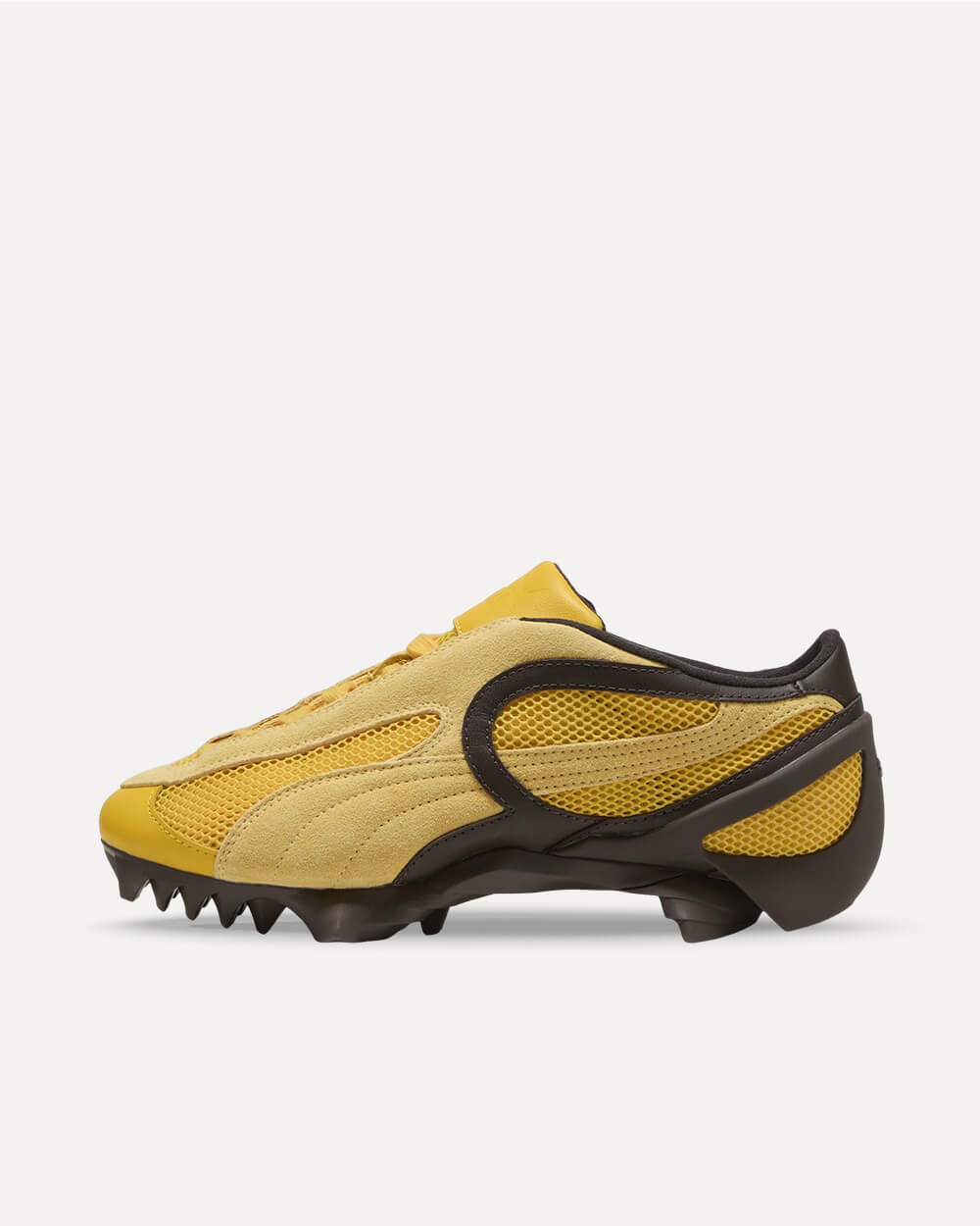 Puma Beisser